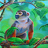 Monkey in the jungle slid…
